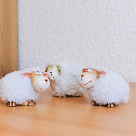 Deichkrone Ferienhaus *